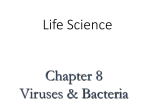 Life Science Chapter 8 Viruses &amp; Bacteria