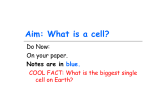 Aim: What is a cell? Do Now: On your paper. Notes are in