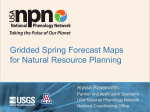 Gridded Spring Forecast Maps for Natural Resource Planning Alyssa Rosemartin