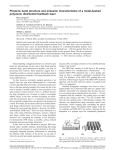 Photonic band structure and emission characteristics of a metal-backed