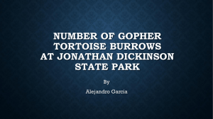 NUMBER OF GOPHER TORTOISE BURROWS AT JONATHAN DICKINSON STATE PARK