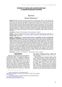 Evolution of a dense outer protective tube layer  Olev V