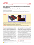 Broad Band Focusing and Demultiplexing of In-Plane Propagating Surface Plasmons Lin Li,