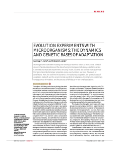 EVOLUTION EXPERIMENTS WITH MICROORGANISMS: THE DYNAMICS AND GENETIC BASES OF ADAPTATION