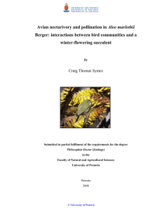 Aloe marlothii Berger: interactions between bird communities and a winter-flowering succulent