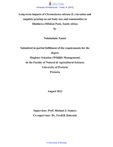 Chromolaena odorata ungulate grazing on ant body size and communities in