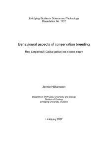 Behavioural aspects of conservation breeding  Gallus gallus Jennie Håkansson