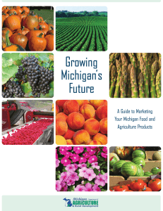 Growing Michigan’s Future A Guide to Marketing