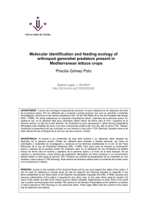 Molecular identification and feeding ecology of arthropod generalist predators present in