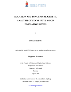 ISOLATION AND FUNCTIONAL GENETIC EUCALYPTUS Magister Scientiae