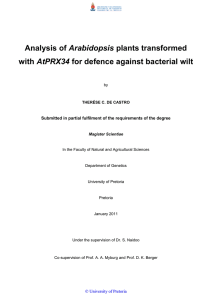 Arabidopsis AtPRX34 Submitted in partial fulfilment of the requirements of the degree