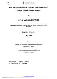 Cry1Ac cotton under abiotic stress CELIA MARiLlA MARTINS Magister Scientiae
