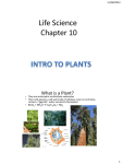 Life Science Chapter 10 What is a Plant? 11/28/2013