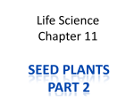 SEED PLANTS PART 2 Life Science Chapter 11