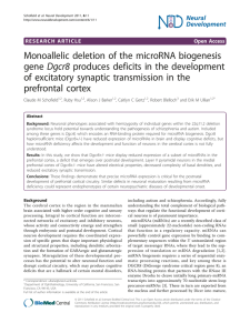 Monoallelic deletion of the microRNA biogenesis