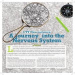 L A Journey  into the nervous system CtY neuroscience