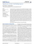 Signals and circuits in the Purkinje neuron NEURAL CIRCUITS Ze’ev R. Abrams