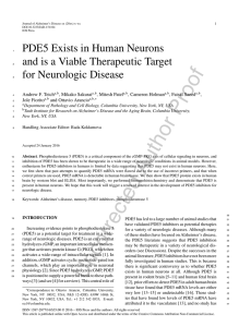 PDE5 Exists in Human Neurons and is a Viable Therapeutic Target