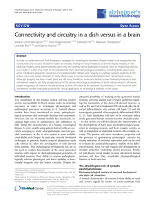 Connectivity and circuitry in a dish versus in a brain