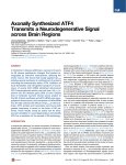 Axonally Synthesized ATF4 Transmits a Neurodegenerative Signal across Brain Regions Baleriola,