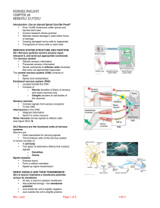 HONORS BIOLOGY Chapter 28 Nervous Systems