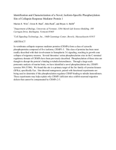 Identification and Characterization of a Novel, Isoform-Specific Phosphorylation