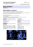 Gene Section SNAI2 (SNAIL homolog 2) Atlas of Genetics and Cytogenetics