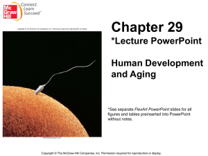 Chapter 29 *Lecture PowerPoint  Human Development