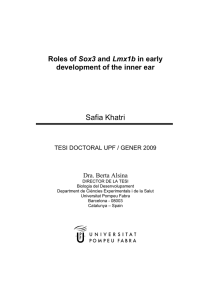 Safia Khatri  Sox3 development of the inner ear