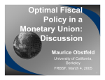 Optimal Fiscal Policy in a Monetary Union: Discussion