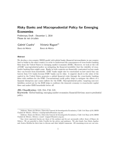 Risky Banks and Macroprudential Policy for Emerging Economies Gabriel Cuadra Victoria Nuguer