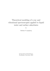 Theoretical modeling of x-ray and vibrational spectroscopies applied to liquid
