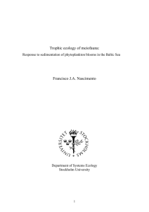 Trophic ecology of meiofauna: Francisco J.A. Nascimento