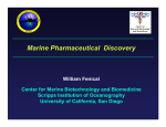 Marine Pharmaceutical  Discovery