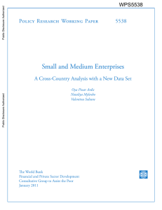 Small and Medium Enterprises Policy Research Working Paper 5538