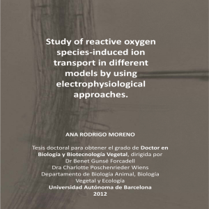 Study of reactive oxygen species-induced ion transport in different models by using