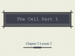The Cell Part 1 Chapter 2 Lesson 2