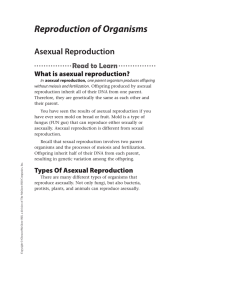 Reproduction of Organisms Asexual Reproduction  What is asexual reproduction?