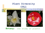 Plant Diversity C9L1 Botany: the study of plants
