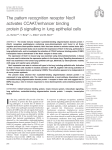 The pattern recognition receptor Nod1 activates CCAAT/enhancer binding