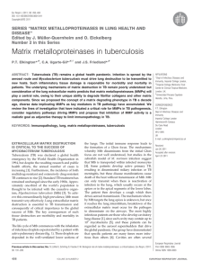 SERIES ‘‘MATRIX METALLOPROTEINASES IN LUNG HEALTH AND DISEASE’’ Edited by J. Mu