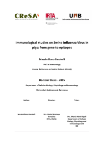 Immunological studies on Swine Influenza Virus in  Massimiliano Baratelli