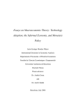 Essays on Macroeconomic Theory: Technology Adoption, the Informal Economy, and Monetary Policy