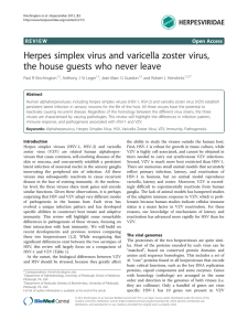 Herpes simplex virus and varicella zoster virus, Open Access