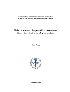 Licentiate thesis from the Department of Immunology,