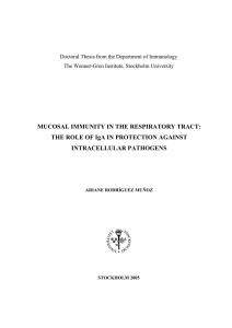 MUCOSAL IMMUNITY IN THE RESPIRATORY TRACT: INTRACELLULAR PATHOGENS