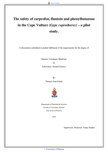 The safety of carprofen, flunixin and phenylbutazone Gyps coprotheres study.