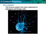 31.3 Immune Responses KEY CONCEPT The immune system has many responses to