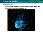 31.2  Immune System  KEY CONCEPT