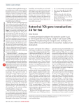 Retroviral TCR gene transduction: 2A for two NEWS AND VIEWS